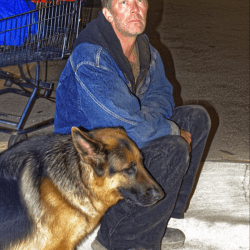 Screenshot 2025-11-25 113027